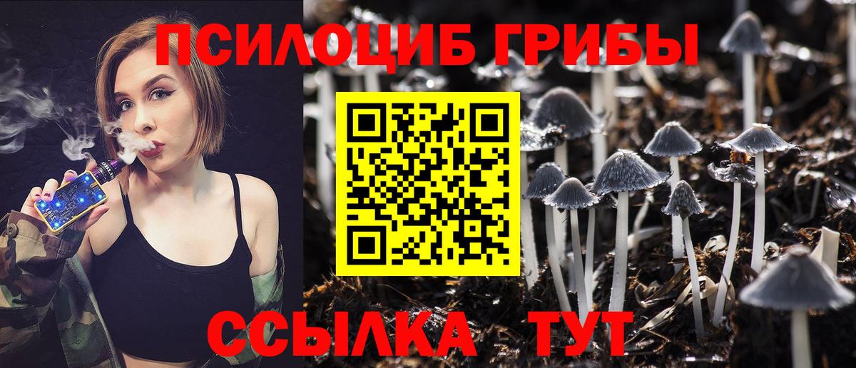 Псилоцибиновые грибы мухоморы Кызыл